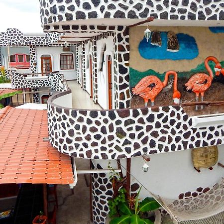 Hotel Coloma Galapagos Puerto Ayora  Kültér fotó