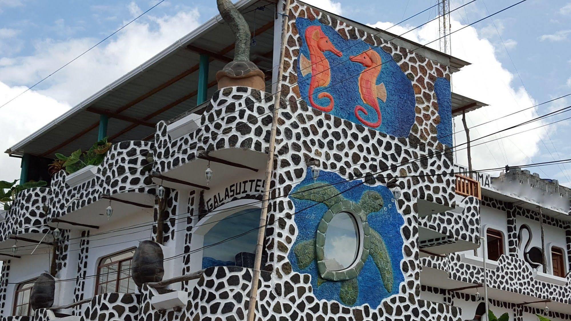 Hotel Coloma Galapagos Puerto Ayora  Kültér fotó